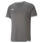 PUMA Herren Teamliga Jersey Shirt, Smoked Pearl-puma White, XL EU
