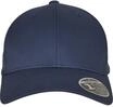 Flexfit Accessoires 110 Curved Visor Snapback