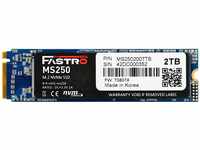 Mega Fastro SSD 2TB MS250 Series PCI-Express NVMe intern bis zu 3.400 MB/s Lesen