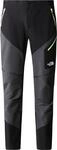 THE NORTH FACE Stolemberg Hose TNF Black/Asphalt Grey/TNF Black 30
