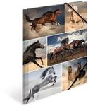 HERMA Sammelmappe A4 Pferde, Kinder Eckspanner-Mappe aus Pappe mit Tier Motiv,