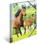 HERMA Sammelmappe A4 Pferde, Kinder Eckspanner-Mappe aus Kunststoff mit Tier Motiv,