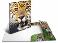 HERMA 7142 Sammelmappen A3 Tiere Leopard, 3 Stück, Kinder Eckspanner-Mappen aus