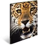 HERMA Sammelmappen A3 Leopard Set, 3 St&uuml;ck, Kinder Eckspanner-Mappen aus...