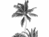 Komar Vlies Fototapete - Retro Palm - Größe: 200 x 280 cm (Breite x Höhe) -...