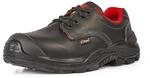 Curly S3 ESD UK SRC - T: 35