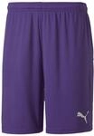 PUMA Herren, teamGOAL 23 knit Shorts