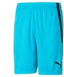 PUMA teamLIGA Shorts