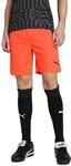 PUMA teamLIGA Shorts