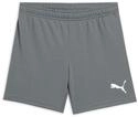 PUMA Unisex Baby Teamrise Jr Shorts, Smoked Pearl-puma White, 164 EU