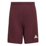 Adidas Jungen Squadra 21 Shorts, Team Maroon/White, 13-14 Years