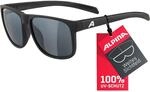 ALPINA NACAN III - Verzerrungsfreie und Bruchsichere Sonnenbrille Mit 100%...