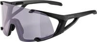 ALPINA HAWKEYE Q-LITE V - Selbstt&ouml;nende, Bruchfeste & Beschlagfreie Sport- &