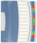 Esselte 624030 Ordnungsmappe VIVIDA, A4, PP, 12 F&auml;cher, mehrfarbig