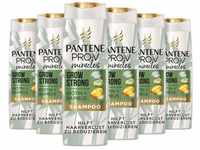 Pantene Pro-V Miracles Grow Strong Shampoo (6 x 250 ml) mit Biotin & Bambus,