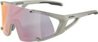 ALPINA Sportbrille, cool-grey, One Size