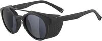ALPINA GLACE - Verspiegelte und Bruchsichere Gletscherbrille Mit 100% UV-Schutz f&uuml;r