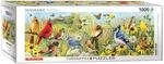 Eurographics 1000 Teile Panorama - V&ouml;gel im Garten, 6010-5338, mehrfarbig