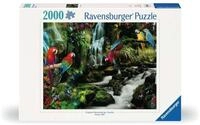 Ravensburger Puzzle 17111 - Bunte Papageien im Dschungel - 2000 Teile Puzzle...