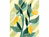 Komar Vlies Fototapete - Lemon Fresh - Größe: 200 x 250 cm (Breite x Höhe) -