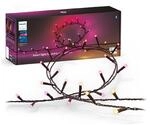 Philips Hue Festavia Lichterkette, White & Color Ambiance, dimmbar, 500 Mini LEDs, 40