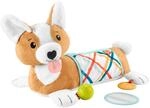 Fisher-Price Baby-Spielzeug zum Spielen in der Bauchlage, 3-in-1 H&uuml;ndchen