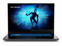 ERAZER ERAZER Defender P50 Core Gaming Laptop, Intel® Core™ i7-13620H,