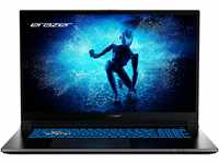 ERAZER ERAZER Defender P50 Core Gaming Laptop, Intel® Core™ i7-13620H,