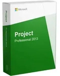 Microsoft Project 2013 Professional