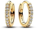 Pandora Creolen Timeless 263015C01 - gelbgold