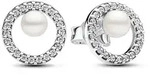 Pandora Ohrstecker Pandora Timeless 293154C01 - silber