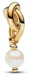 Pandora Anh&auml;nger Moments 763462C06 - gold