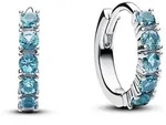Pandora Creolen Timeless 293849C01