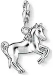 Thomas Sabo Charm Sterling Silver 1074-007-12 - silber