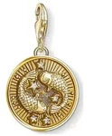 Thomas Sabo Charm 1651-414-39 - gold