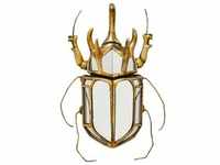 Wandschmuck Beetle Mirror 25x39cm