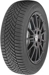 Toyo Observe Winter Sport 1 235/55 R17 103 V XL, Kraftstoffeffizienz: C, Nasshaftung: