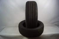 Goodyear Efficient Grip Performance 2 255/50 R21 109 Y (*) EDT SCT XL,