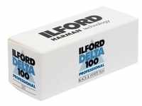 Ilford 100 Delta Rollfilm 120