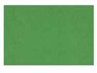 Rollei X-Drop Hintergrund 3,0m grün