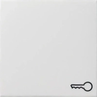 Gira 028703, Gira Wippe Schalter reinwei&szlig; gl&auml;nzend Schl/T&uuml;r System 55 028703
