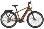 Kalkhoff Endeavour 5.B Advance+ 625 Diamant - goldbrown glossy - 48cm | 29 Zoll Kalkhoff Endeavour 5.B Advance+ 625 Diamant - goldbrown glossy - 48cm | 29 Zoll