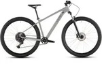 Cube Aim Pro 2026 - greige ́n ́titan - 42cm | 29