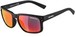 Alpina Kosmic Sonnenbrille