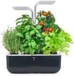 V&eacute;ritable SMART - Indoor-Garten - Sanftes Schwarz