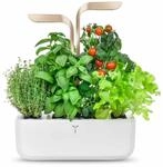 V&eacute;ritable CONNECT - Indoor-Garten - Moonlight Gold