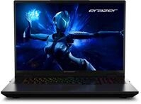 Erazer Beast 18 X1 (MD62730) 45,7 cm (18") Gaming Notebook, 32 GB RAM, 2000 GB SSD,