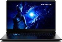 Scout 17 E1 (MD62758) 43,9 cm (17,3") Gaming Notebook schwarz, 16 GB RAM, 1000 GB