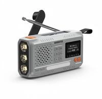 RESQ 100 Portables Radio grau