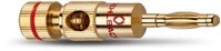 Banana B2 seitlich (4 Stk.) bis 10mm&sup2; gold